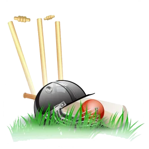 Pro Cricket Stump Set – Built to Take Every Hit