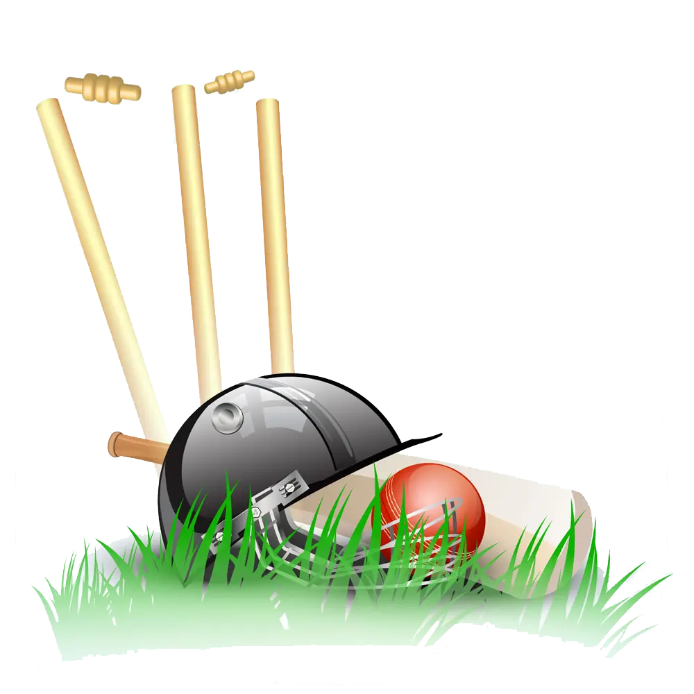 Pro Cricket Stump Set – Built to Take Every Hit